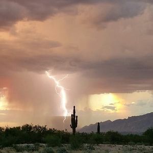 Fundraising Page: Shannon Germanos